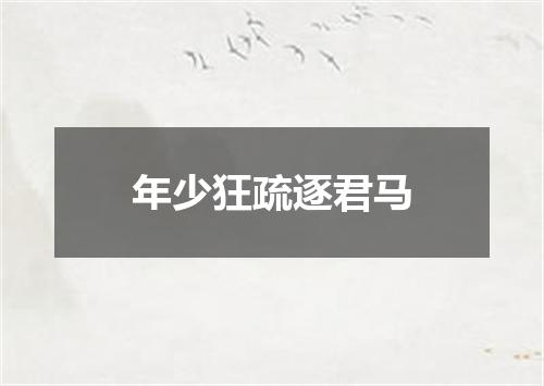 年少狂疏逐君马