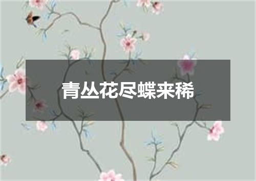 青丛花尽蝶来稀