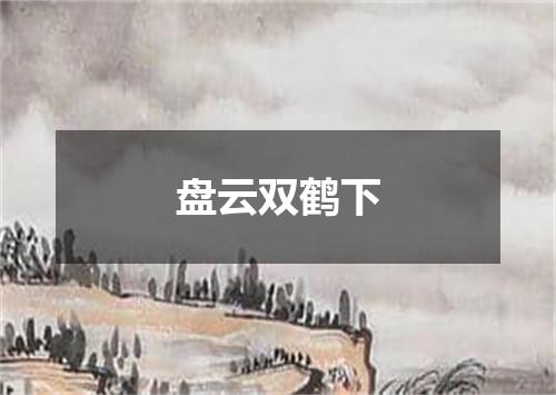 盘云双鹤下