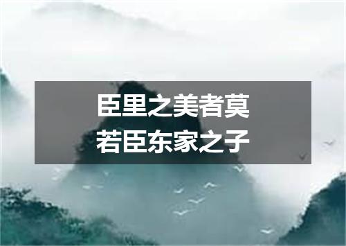臣里之美者莫若臣东家之子