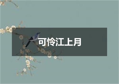 可怜江上月