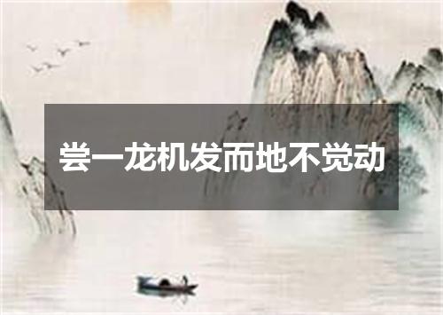 尝一龙机发而地不觉动