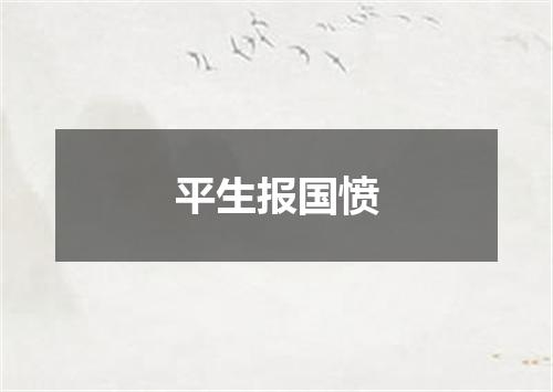平生报国愤