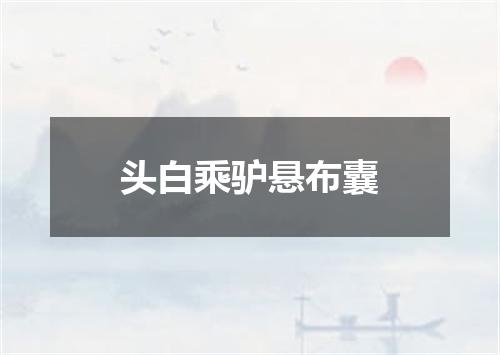 头白乘驴悬布囊