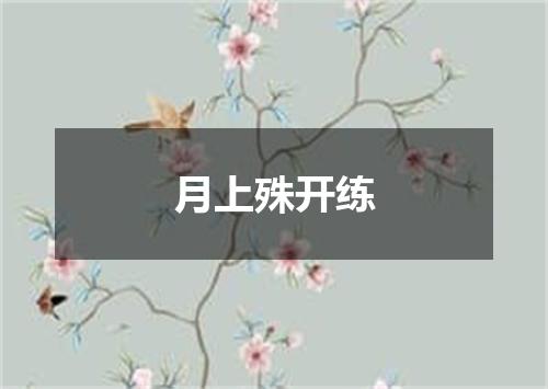 月上殊开练