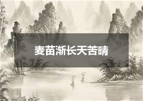 麦苗渐长天苦晴