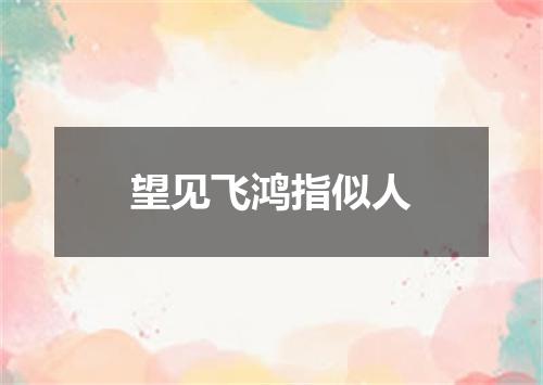 望见飞鸿指似人