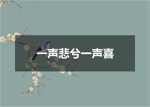 一声悲兮一声喜