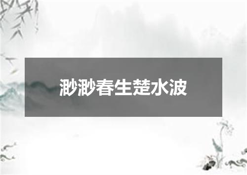 渺渺春生楚水波