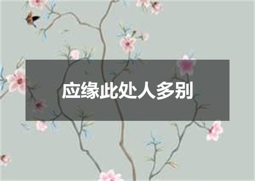 应缘此处人多别