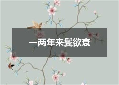 一两年来鬓欲衰