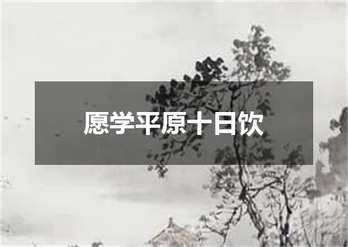 愿学平原十日饮