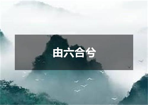由六合兮
