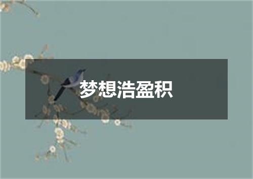 梦想浩盈积