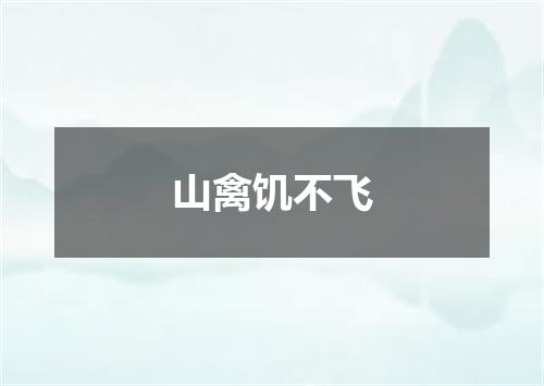 山禽饥不飞