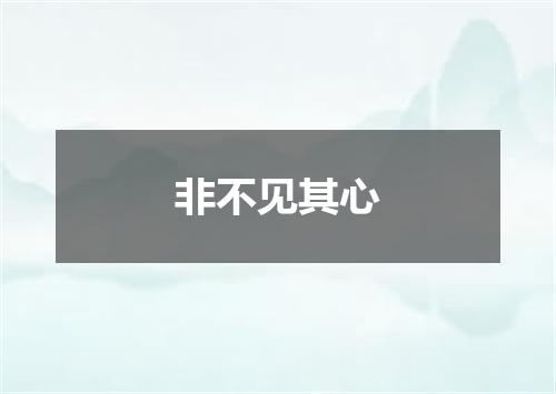 非不见其心