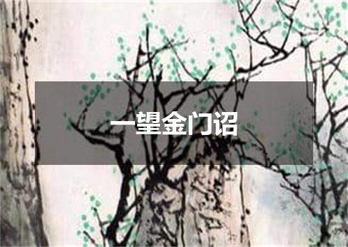 一望金门诏