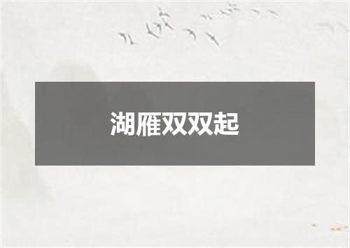 湖雁双双起