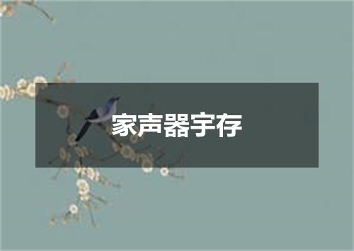 家声器宇存