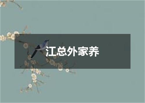 江总外家养