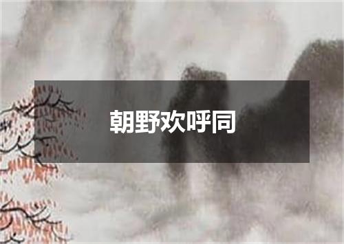 朝野欢呼同