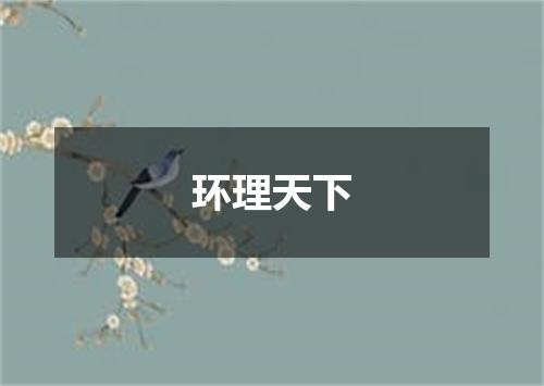 环理天下