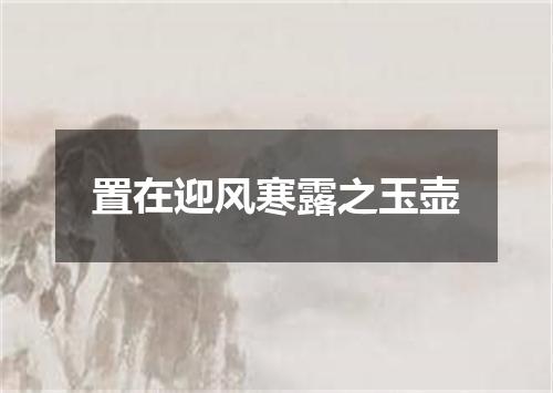 置在迎风寒露之玉壶