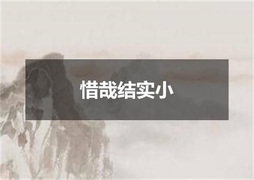 惜哉结实小