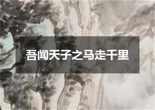 吾闻天子之马走千里