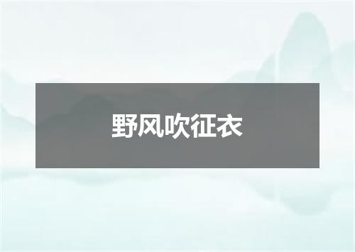 野风吹征衣