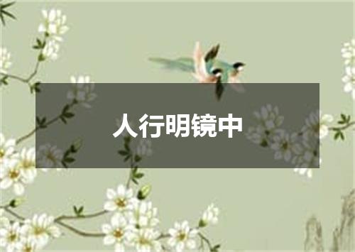 人行明镜中