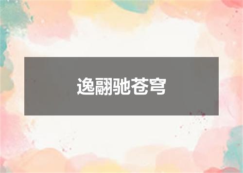 逸翮驰苍穹