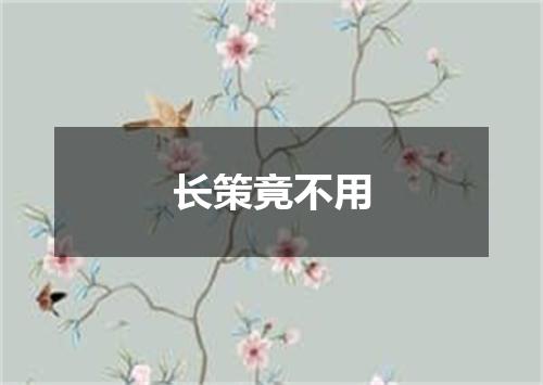 长策竟不用