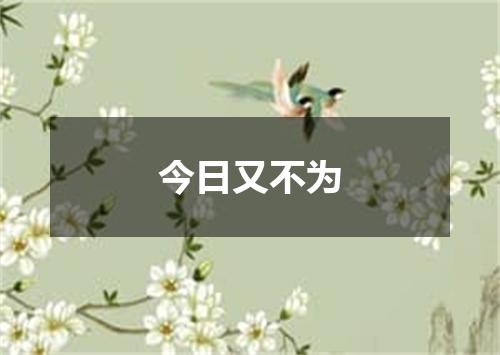 今日又不为