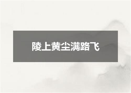 陵上黄尘满路飞