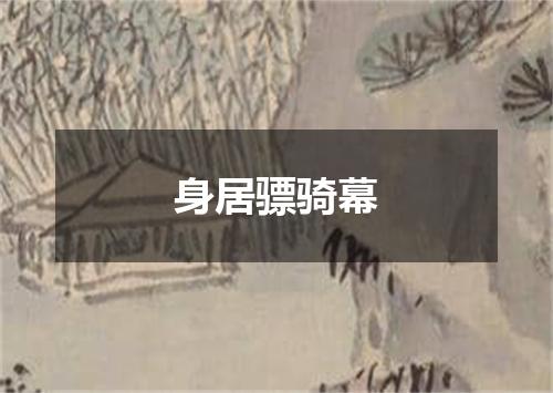 身居骠骑幕