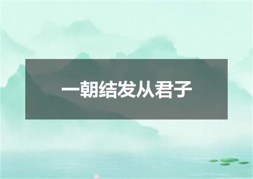 一朝结发从君子