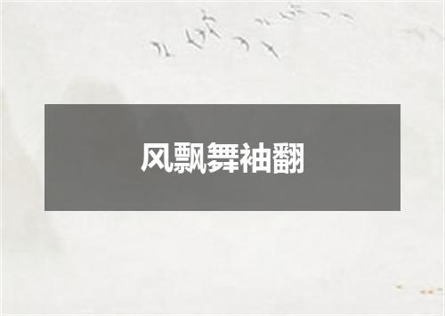 风飘舞袖翻