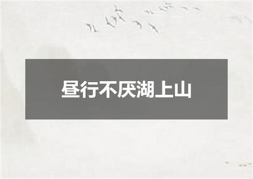 昼行不厌湖上山
