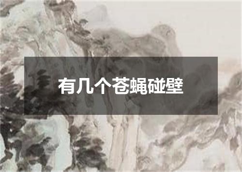 有几个苍蝇碰壁