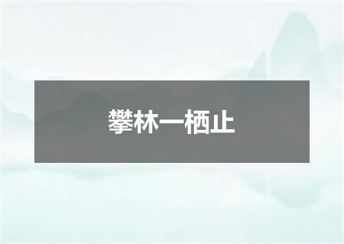 攀林一栖止