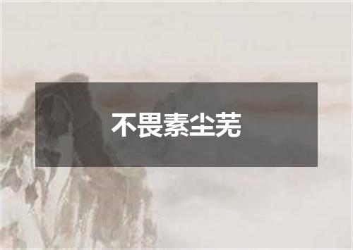 不畏素尘芜