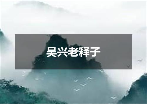 吴兴老释子