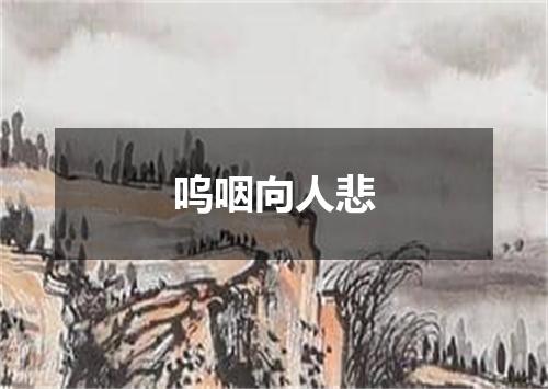 呜咽向人悲