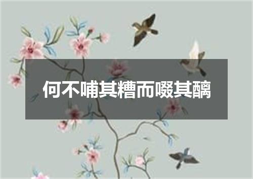 何不哺其糟而啜其醨