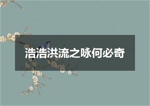 浩浩洪流之咏何必奇