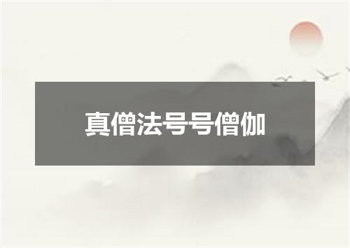 真僧法号号僧伽