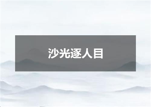 沙光逐人目