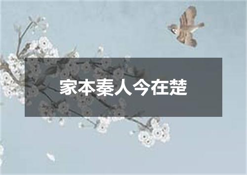 家本秦人今在楚