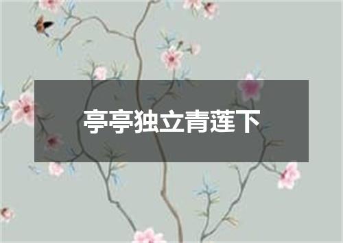 亭亭独立青莲下